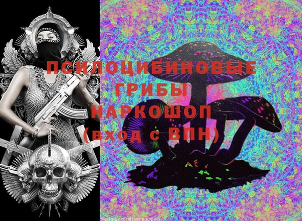 тгк Мегион