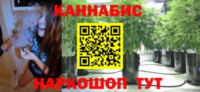 мдпв Ипатово