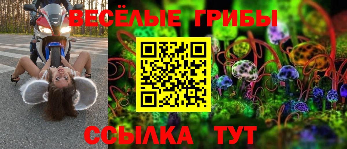 Псилоцибиновые грибы Cubensis Карасук