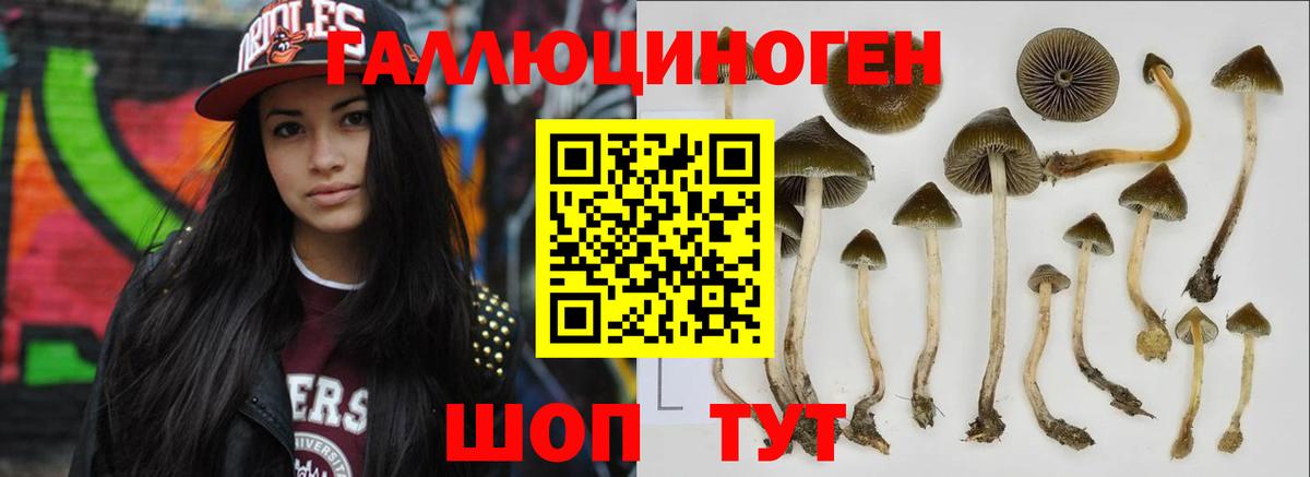 Псилоцибиновые грибы мицелий Карасук