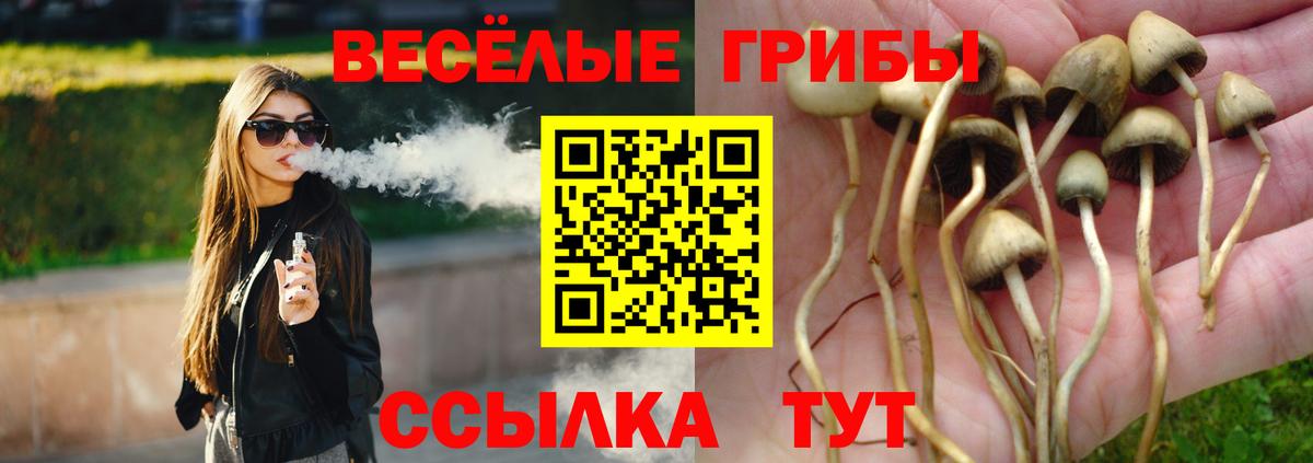 Псилоцибиновые грибы мухоморы  Вход с VPN  Карасук 