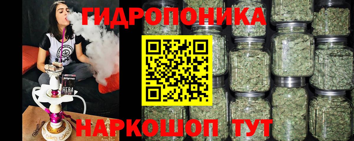 Шишки марихуана план Карасук